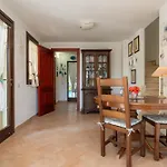 L'ulivo