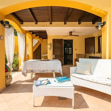 L'ulivo Torre delle Stelle