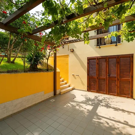 L'ulivo * Torre delle Stelle