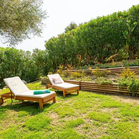 L'ulivo Torre delle Stelle