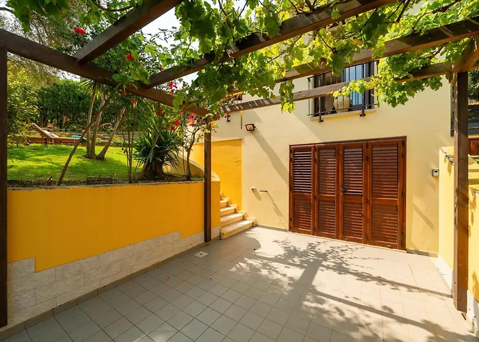 L'ulivo * Torre delle Stelle