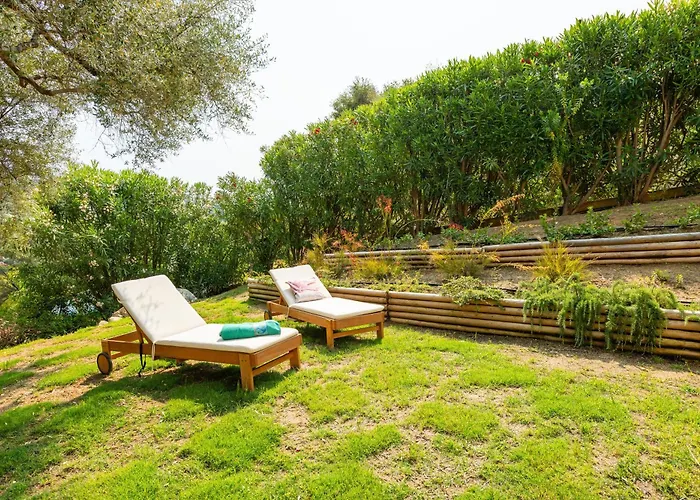 L'ulivo Torre delle Stelle